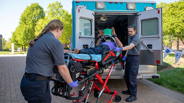 emr-summer-24-640x360