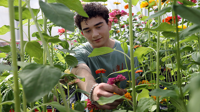 horticulture-aas-640x360