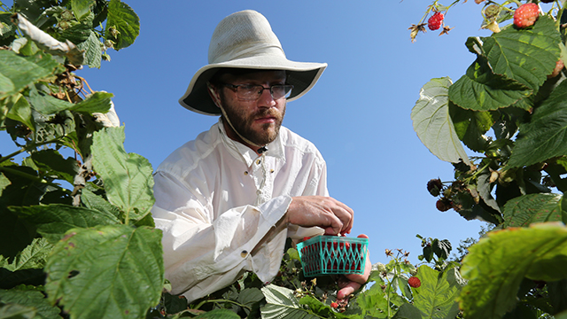 sustainable-agriculture-cert-640x360